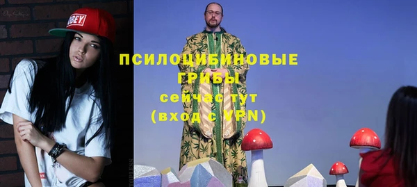 ECSTASY Нея