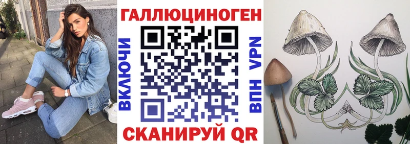Купить закладки  Тейково  Псилоцибиновые грибы GOLDEN TEACHER 