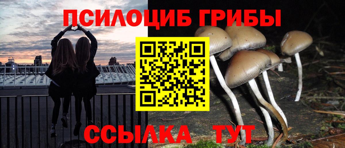 Тейково  Псилоцибиновые грибы GOLDEN TEACHER  Вход с VPN 