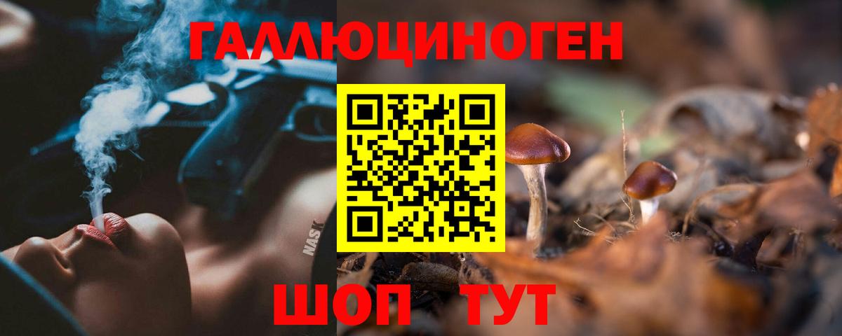 Псилоцибиновые грибы прущие грибы Тейково