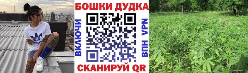 Купить где  Тейково  Бошки Шишки план 