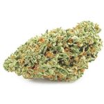 Шишки OG Kush  (Гидропоника, бошки) VHQ в Тейково